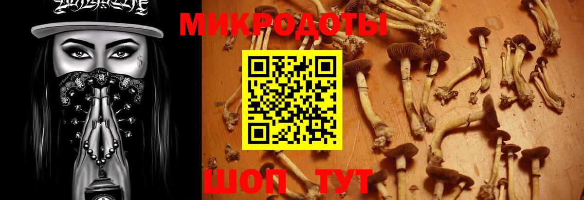Псилоцибиновые грибы мицелий Можга